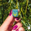 Значок, пін, брошка Щит Тризуб Ukraine 